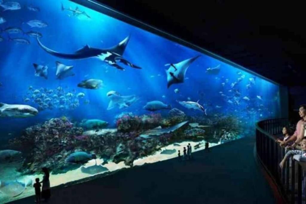 Homy 2 Bedroom Apartment Near Shopping Malls جاكرتا المظهر الخارجي الصورة